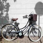 Ammaco Ammaco Classique City Bike