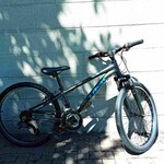 Trek Trek Teen Mountain Bike - 24 inch wheels