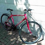 Ignite Ignite Cosenza Hybrid Bike