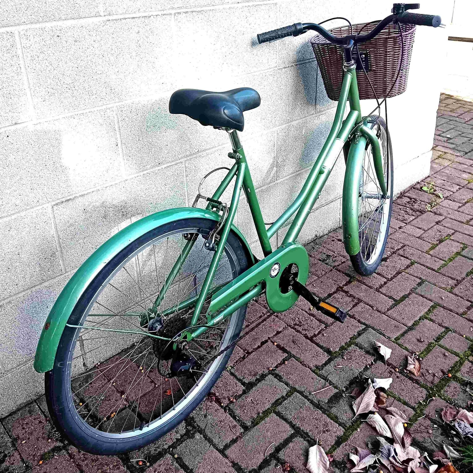 Coyote Windsor Women's Step Through bike