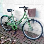 Coyote Windsor Women's Step Through bike