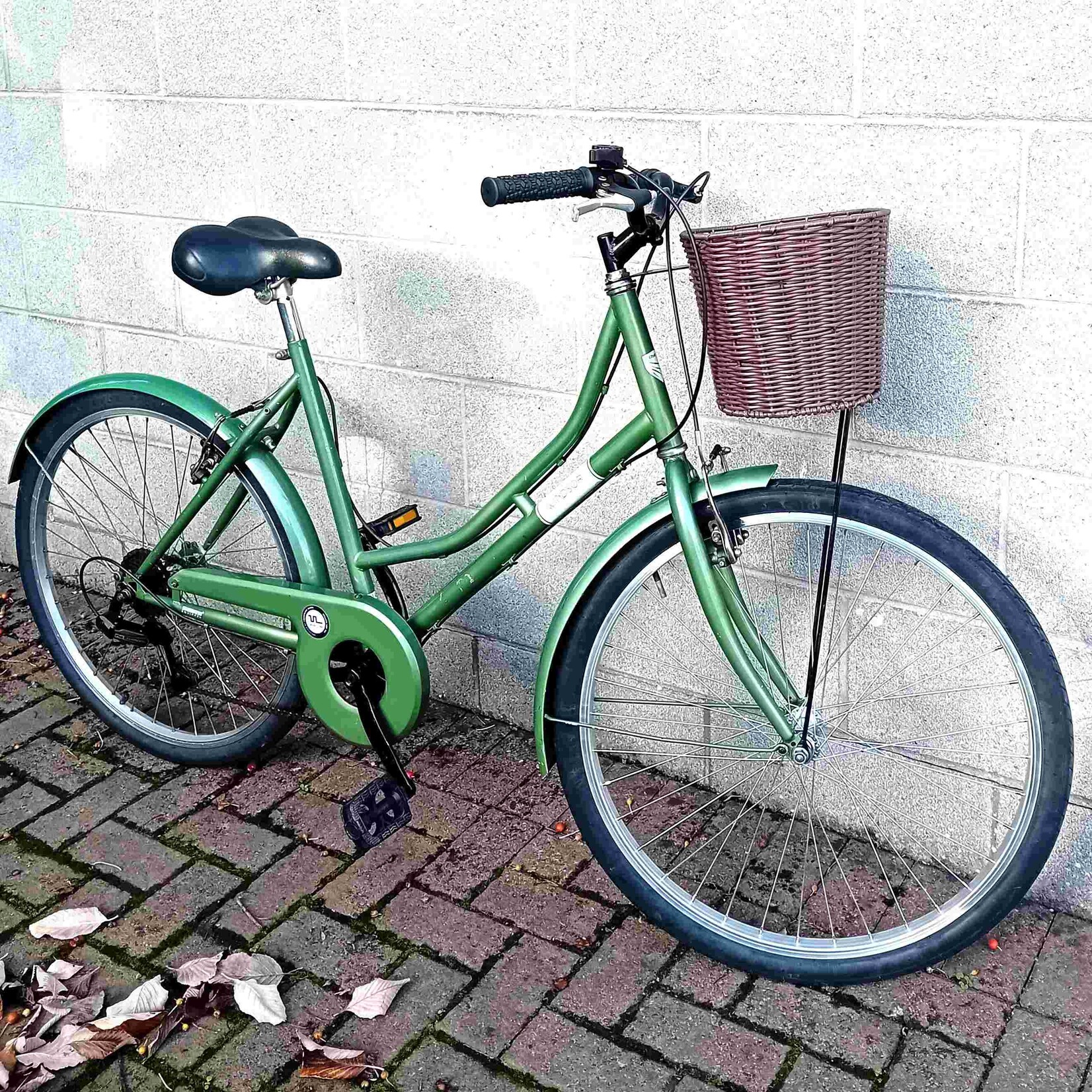 Coyote Windsor Women's Step Through bike