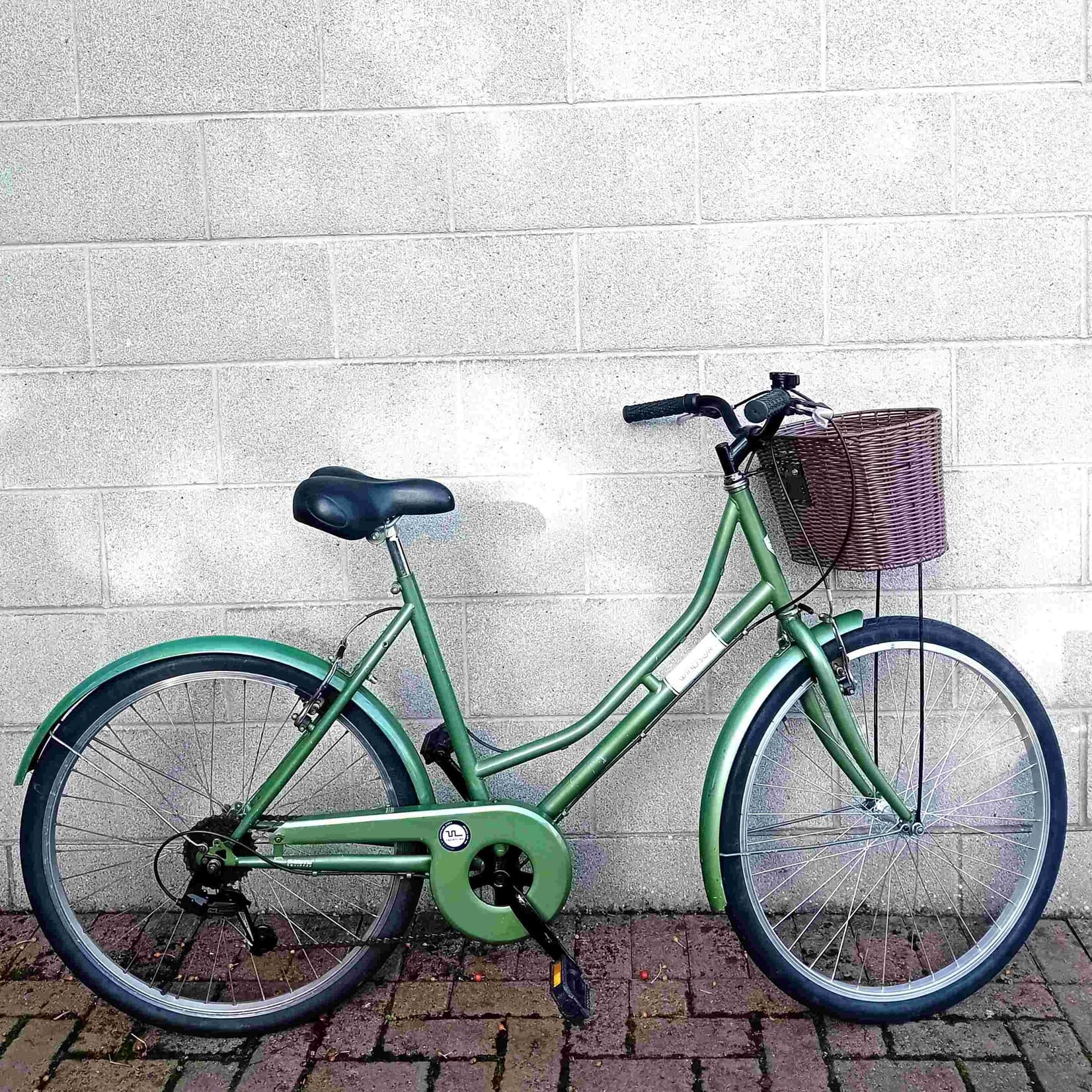Coyote Windsor Women's Step Through bike