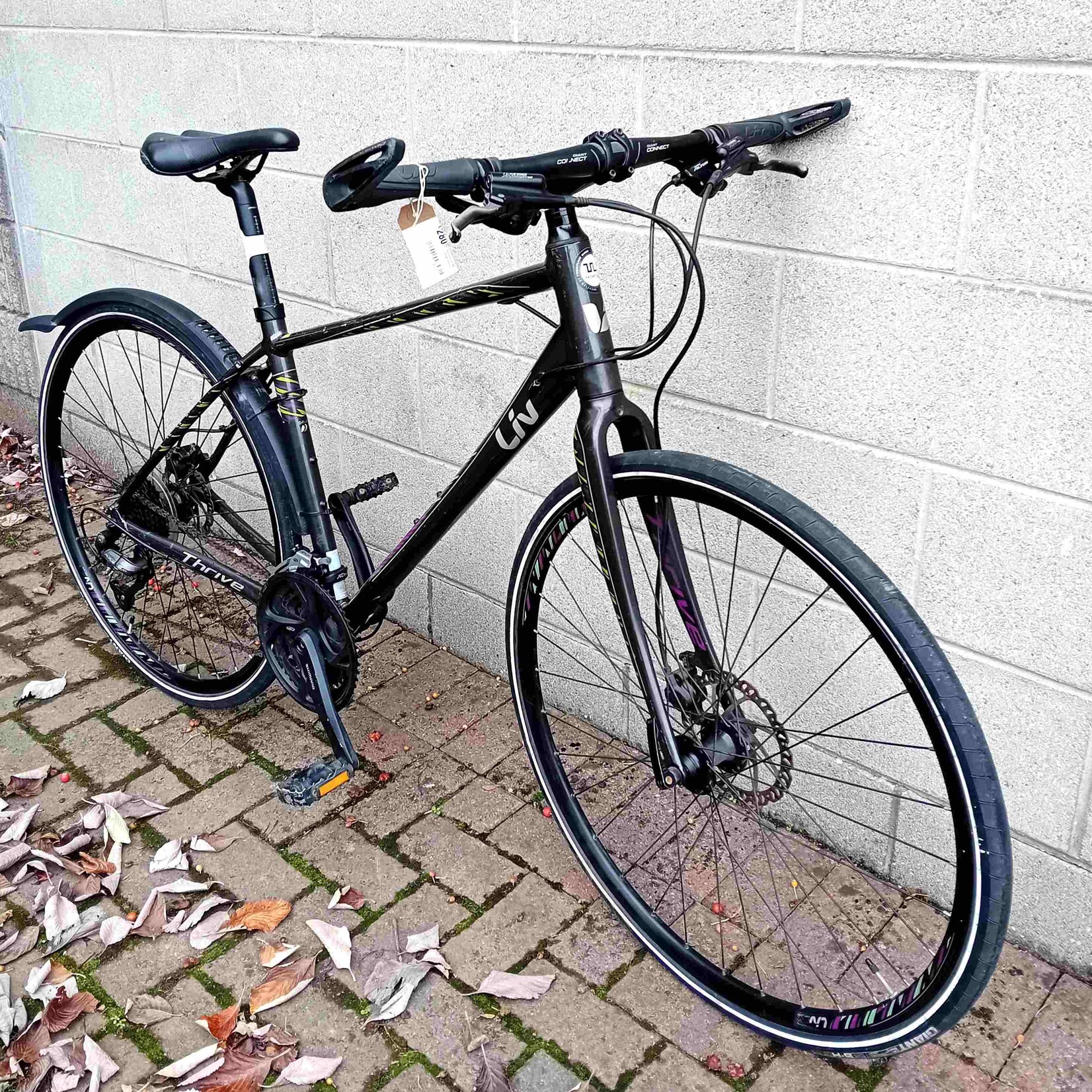 Liv Liv Thrive Men's Hybrid bike