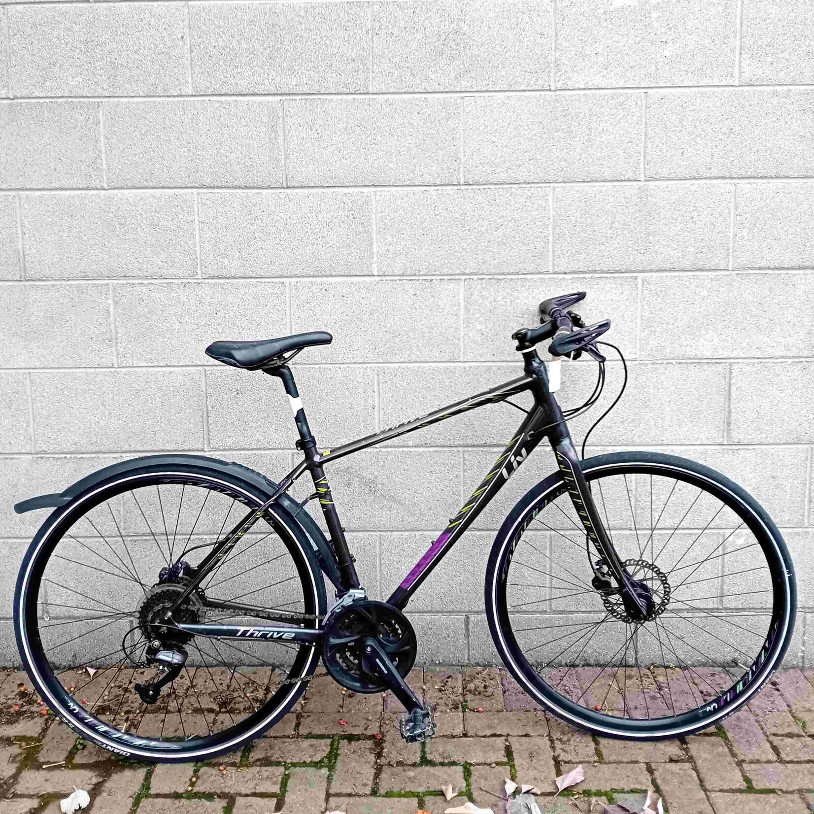 Liv Liv Thrive Men's Hybrid bike