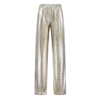 Amaya Amsterdam JELLA PANTS SILVER