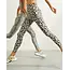 Deblon Sports CLASSIC LEGGINGS HIGH W. CHEETAH