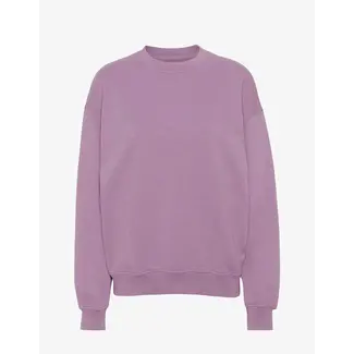 Colorful Standard ORGANIC OVERSIZED CREW PEARLY PURPLE