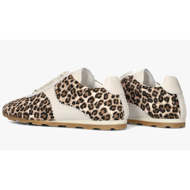 Toral TL-VINCI-A LEOPARD