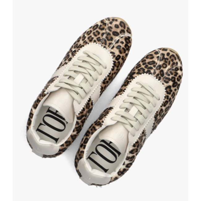 Toral TL-VINCI-A LEOPARD