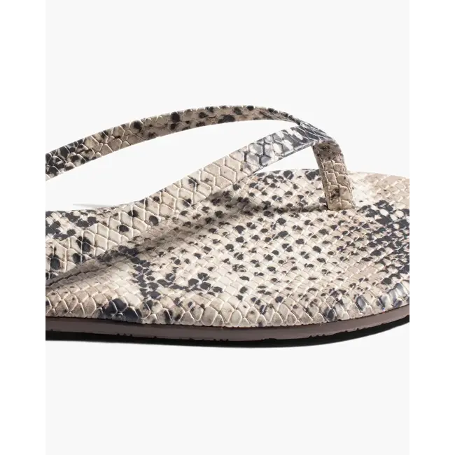 TKEES TKESTUDIO EXOTIC COCO SNAKE