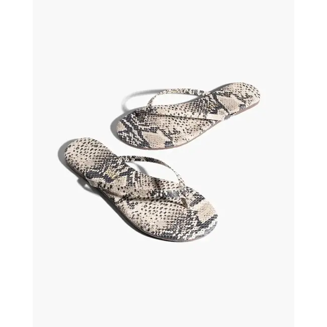 TKEES TKESTUDIO EXOTIC COCO SNAKE