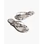 TKEES TKESTUDIO EXOTIC COCO SNAKE