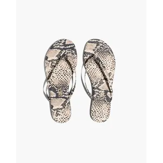 TKEES TKESTUDIO EXOTIC COCO SNAKE