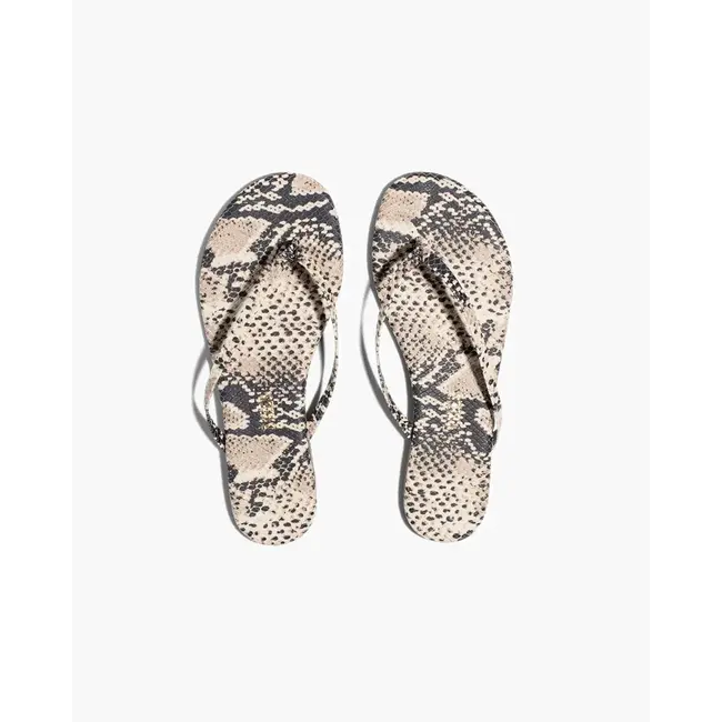 TKEES TKESTUDIO EXOTIC COCO SNAKE