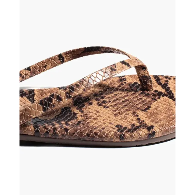 TKEES TKESTUDIO EXOTIC SAND SNAKE