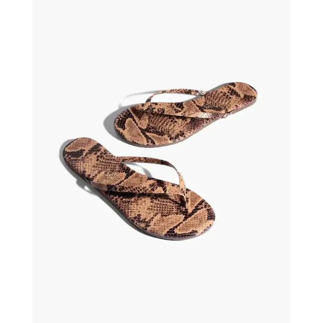 TKEES TKESTUDIO EXOTIC SAND SNAKE