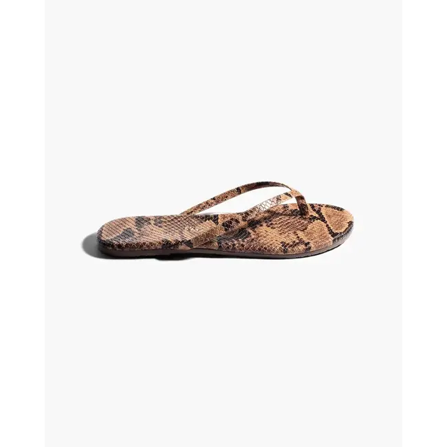 TKEES TKESTUDIO EXOTIC SAND SNAKE