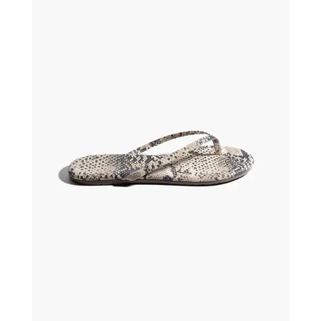 TKEES TKESTUDIO EXOTIC COCO SNAKE