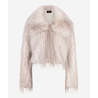 Ibana CYRUS PEARL GREY