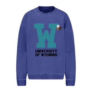 Newtone Brand SWEATSHIRT ROLLER LETTERS FLO BLUE