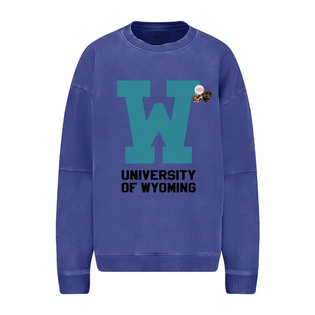 Newtone Brand SWEATSHIRT ROLLER LETTERS FLO BLUE