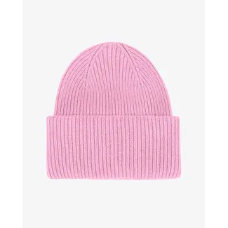 Colorful Standard HAT CHERRY BLOSSOM