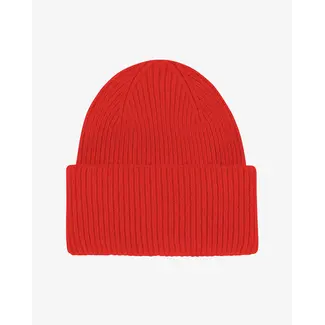 Colorful Standard HAT RED TANGERINE