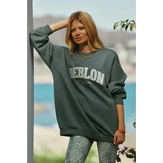 Deblon Sports PHOEBE SWEATER SAGE