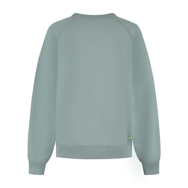 Deblon Sports VIVE SWEATER SAGE
