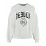 Deblon Sports VIVE SWEATER GREY MELANGE