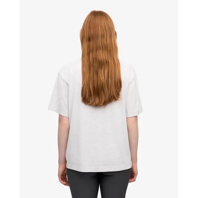 Colorful Standard OVERSIZED ORGANIC T-SHIRT SNOW MELANGE