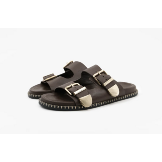 Toral TL-HIDRA NAPA DARK BROWN