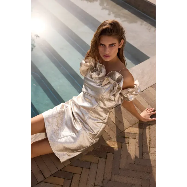 Bruuns Bazaar MARTHA DRESS GOLD/SILVER