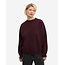 Colorful Standard ORGANIC OVERSIZED CREW OXBLOOD RED