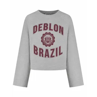 Deblon Sports AYMEE SWEATER GREY MEL.