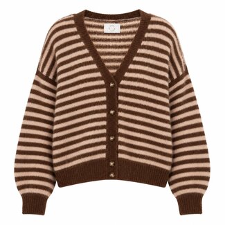 DES PETITS HAUTS ALVARO COGNAC CHINE/BLUSH GILET