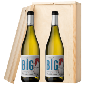 Big Coq Ventoux Blanc | Wijnpakket
