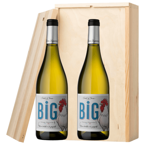 Rhonéa Big Coq Ventoux Blanc | Wijnpakket | incl. Gratis Kaartje
