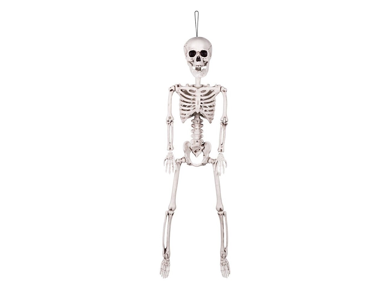 Halloween Puppe Skelett Beweglich 60cm - Partywinkel