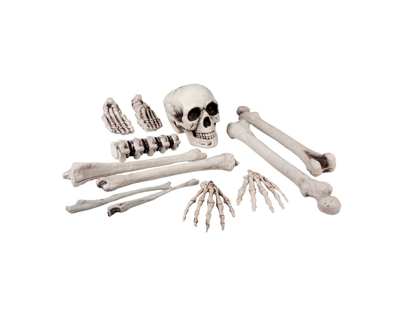 Halloween Skelett 12 Stück - Partywinkel