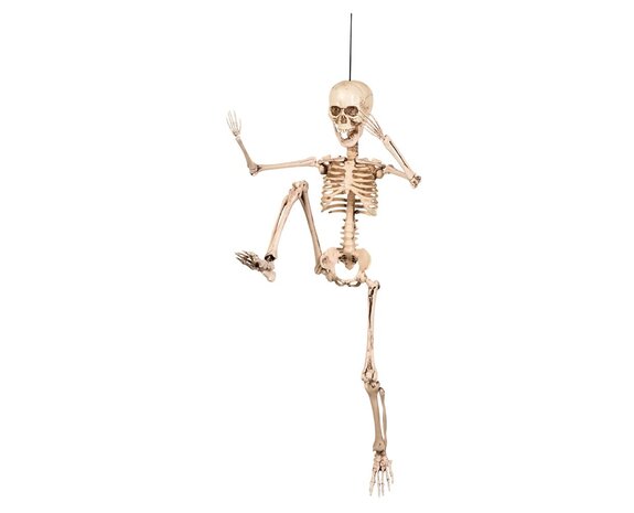 Halloween Skelett 50cm - Partywinkel