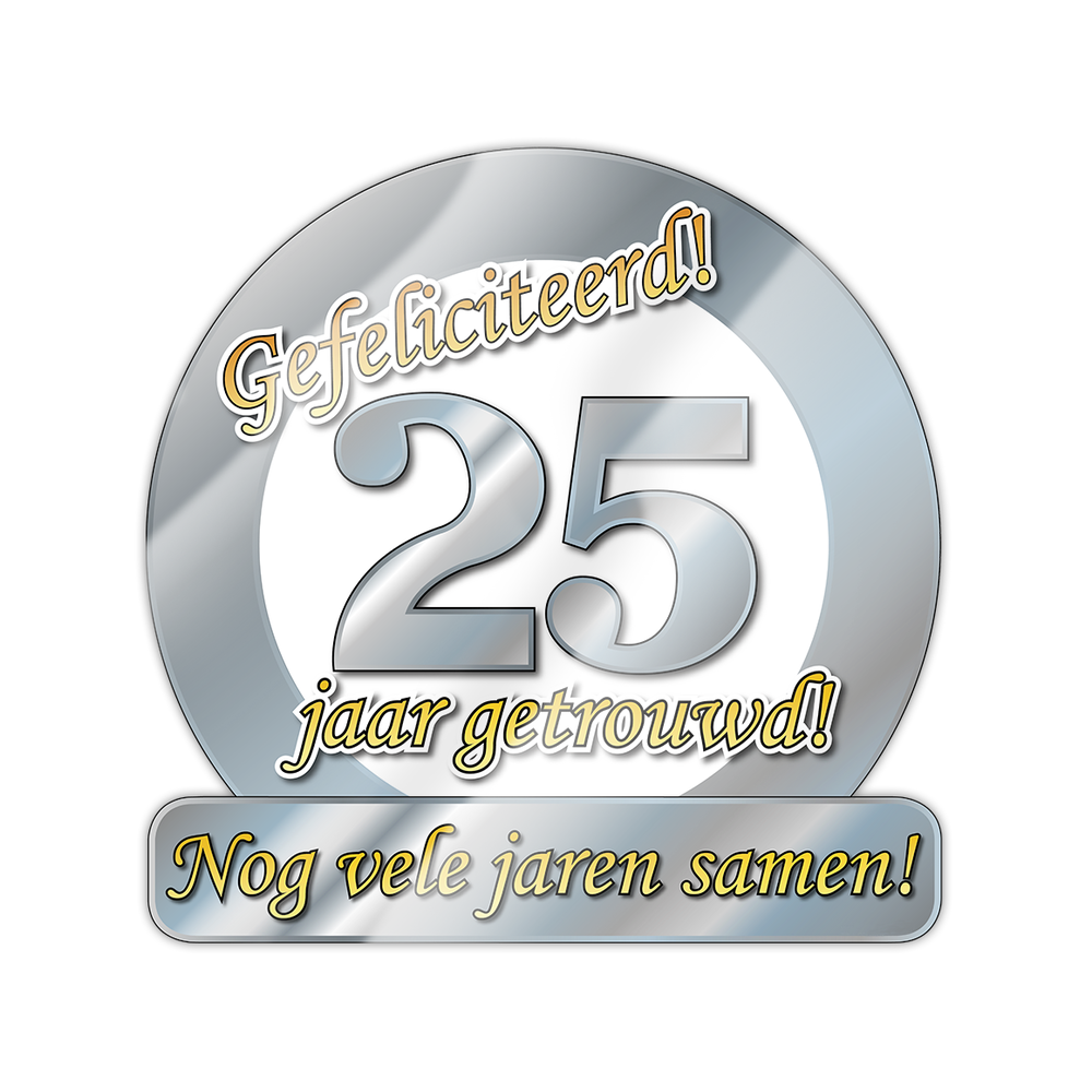 Türschild 25 Jahre verheiratet 50cm Partywinkel