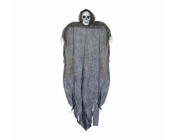 https://cdn.webshopapp.com/shops/344999/files/446876125/575x465x2/halloween-haengende-dekoration-skelett-12m.jpg