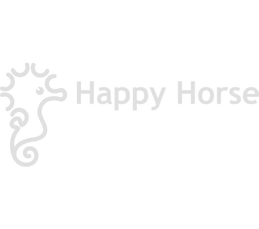 Happy Horse