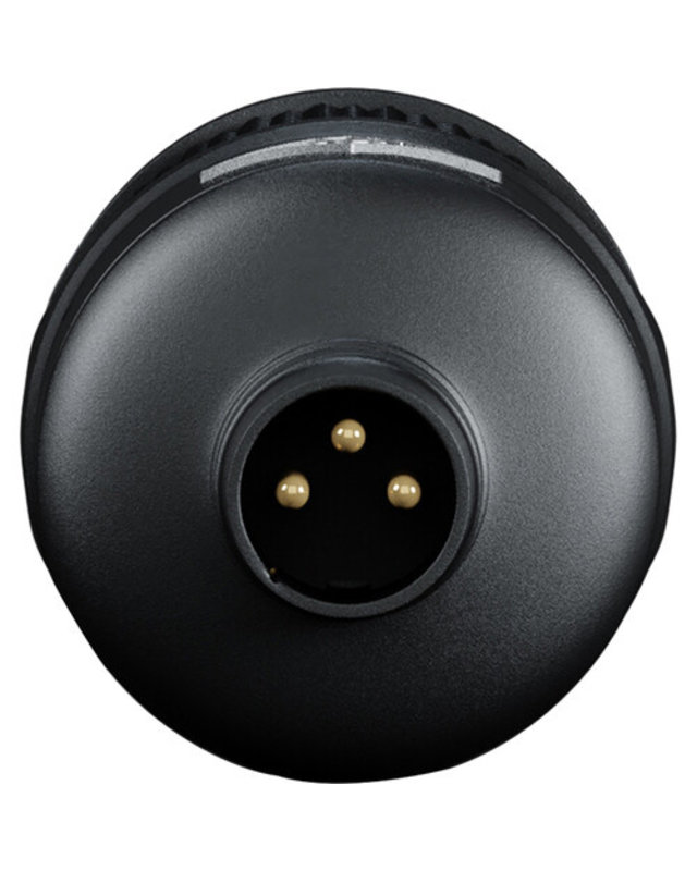 Antelope Audio Edge Solo