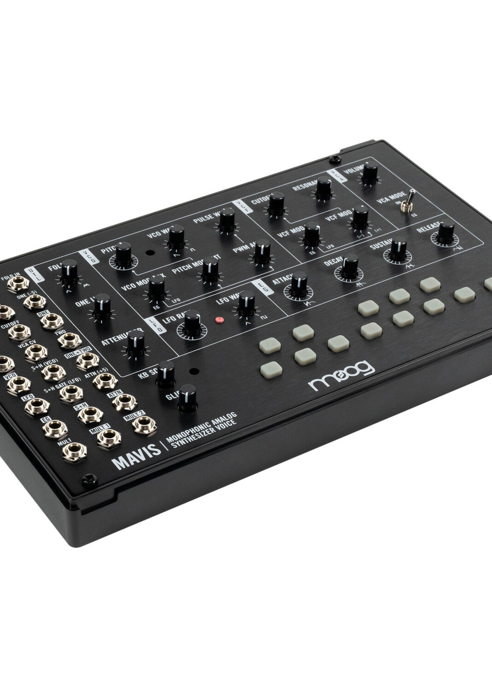 Moog Mavis