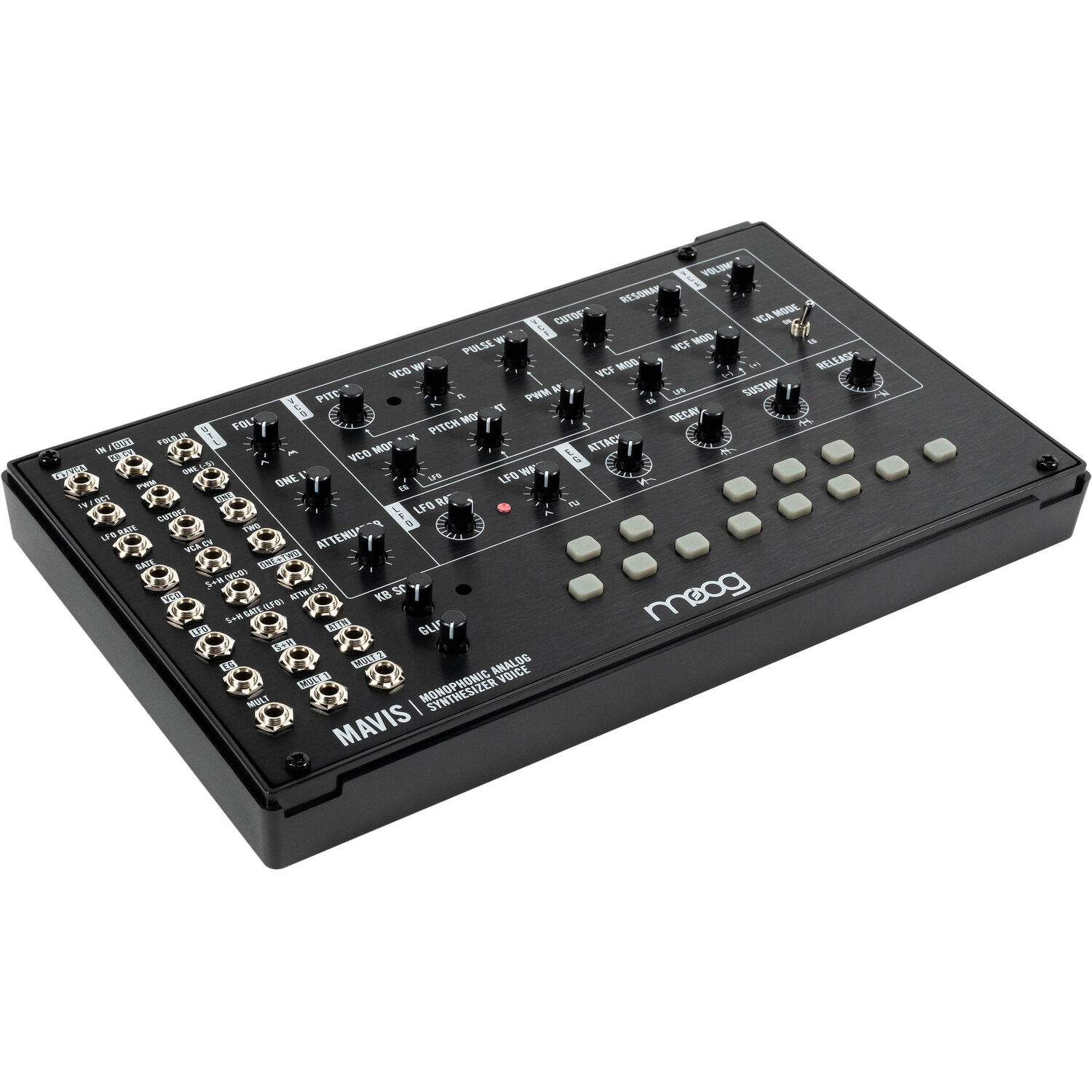 Moog Mavis - Volt Music Store Moog Mavis - Volt Music Store