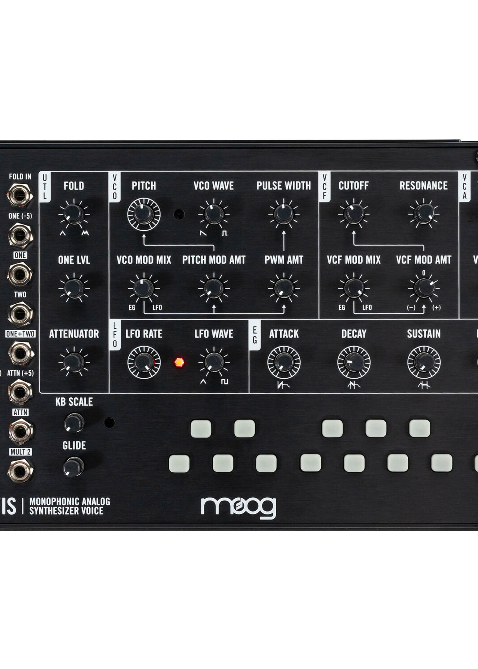 Moog Mavis
