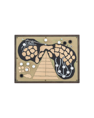Soma Laboratory ENNER
